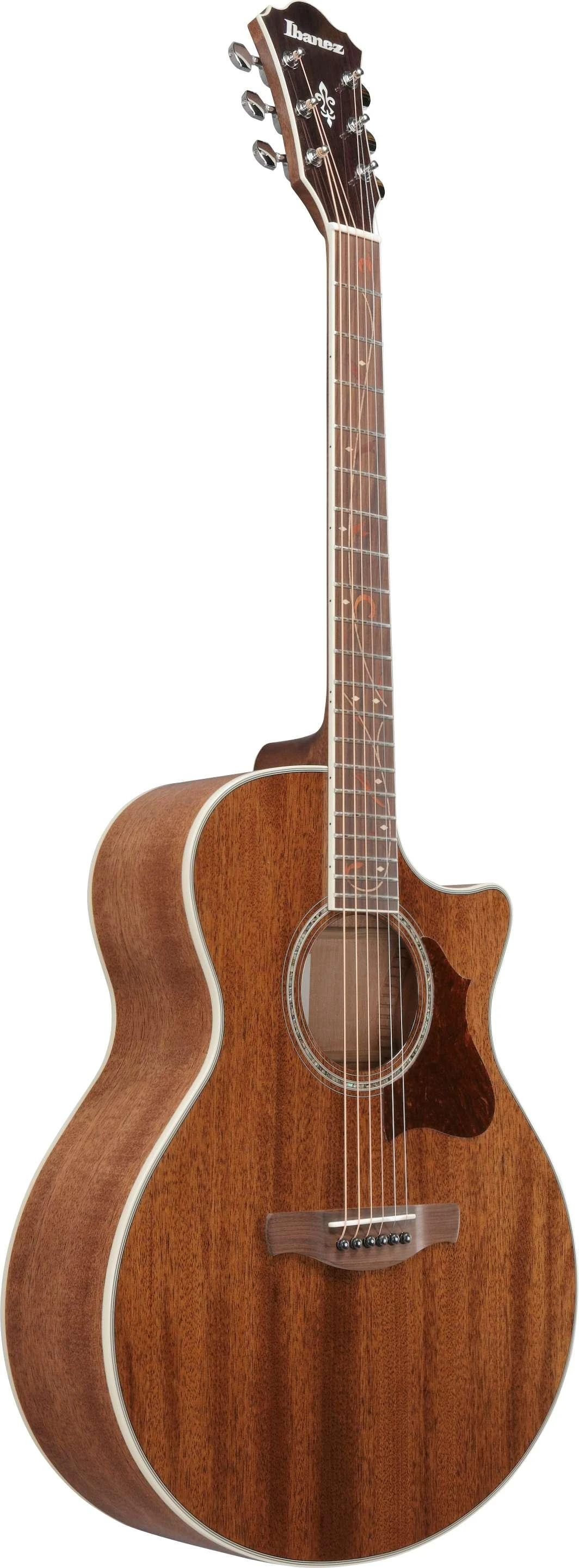 Ibanez AE245-NT AE Series Electro Acoustic Guitar in Natural High Gloss - AE245-NT (11).jpg