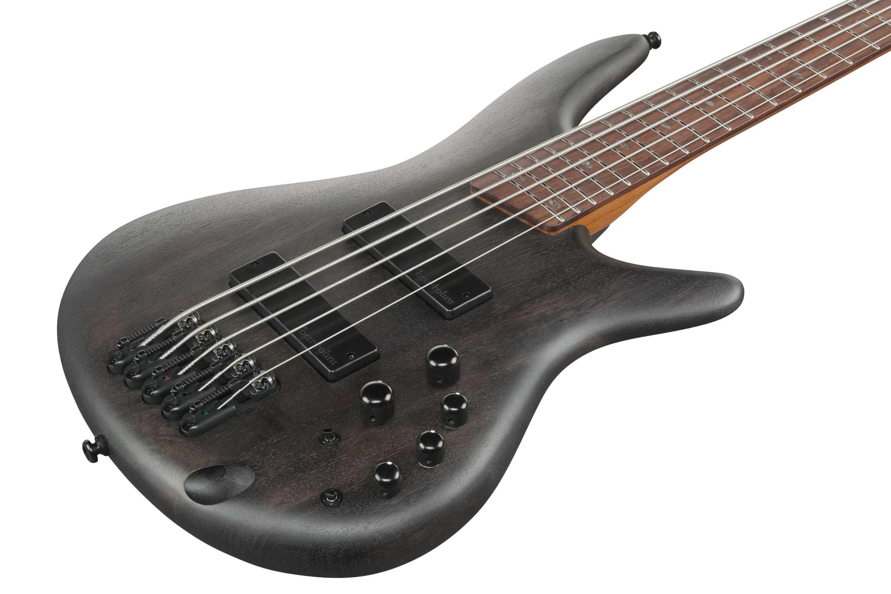 Ibanez SR500A-TGF SR-Series Bass Guitar in Transparent Gray Flat - SR500A-TGF-6.jpg