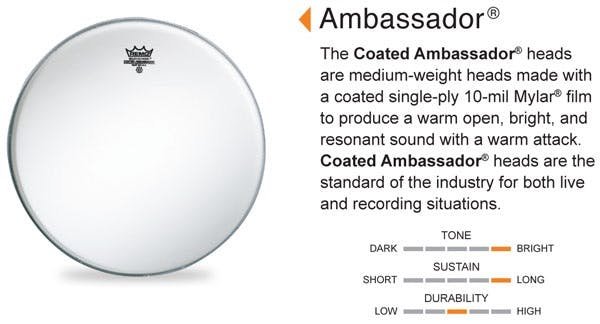Remo Ambassador Coated 16'' Drum Head - 80065-tmp325B.jpg