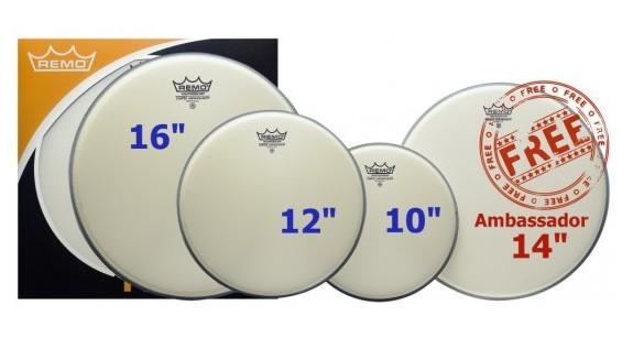 Remo Ambassador Coated Rock Fusion Set 10, 12, 16 and 14 Snare - PP2330BA.jpg