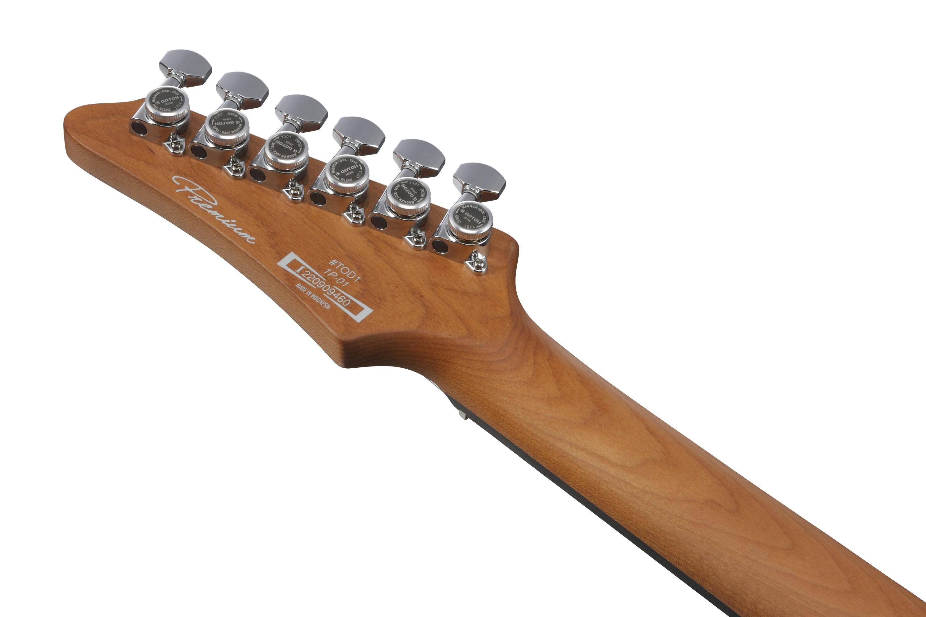 Ibanez TOD10 Tim Henson Signature Electric Guitar in Silver