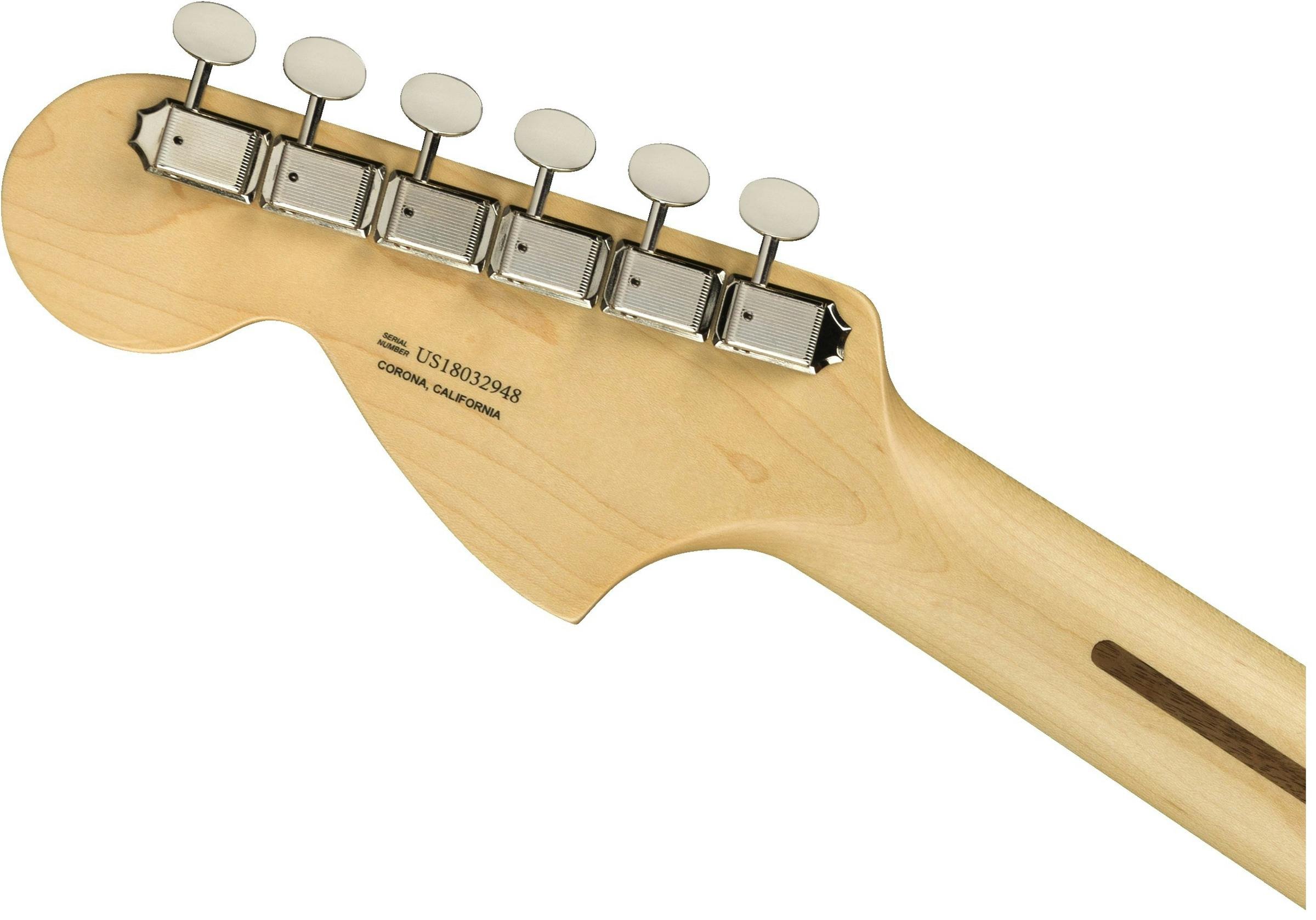 Fender American Performer Stratocaster in Honey Burst - 309246-1543831002856.jpg