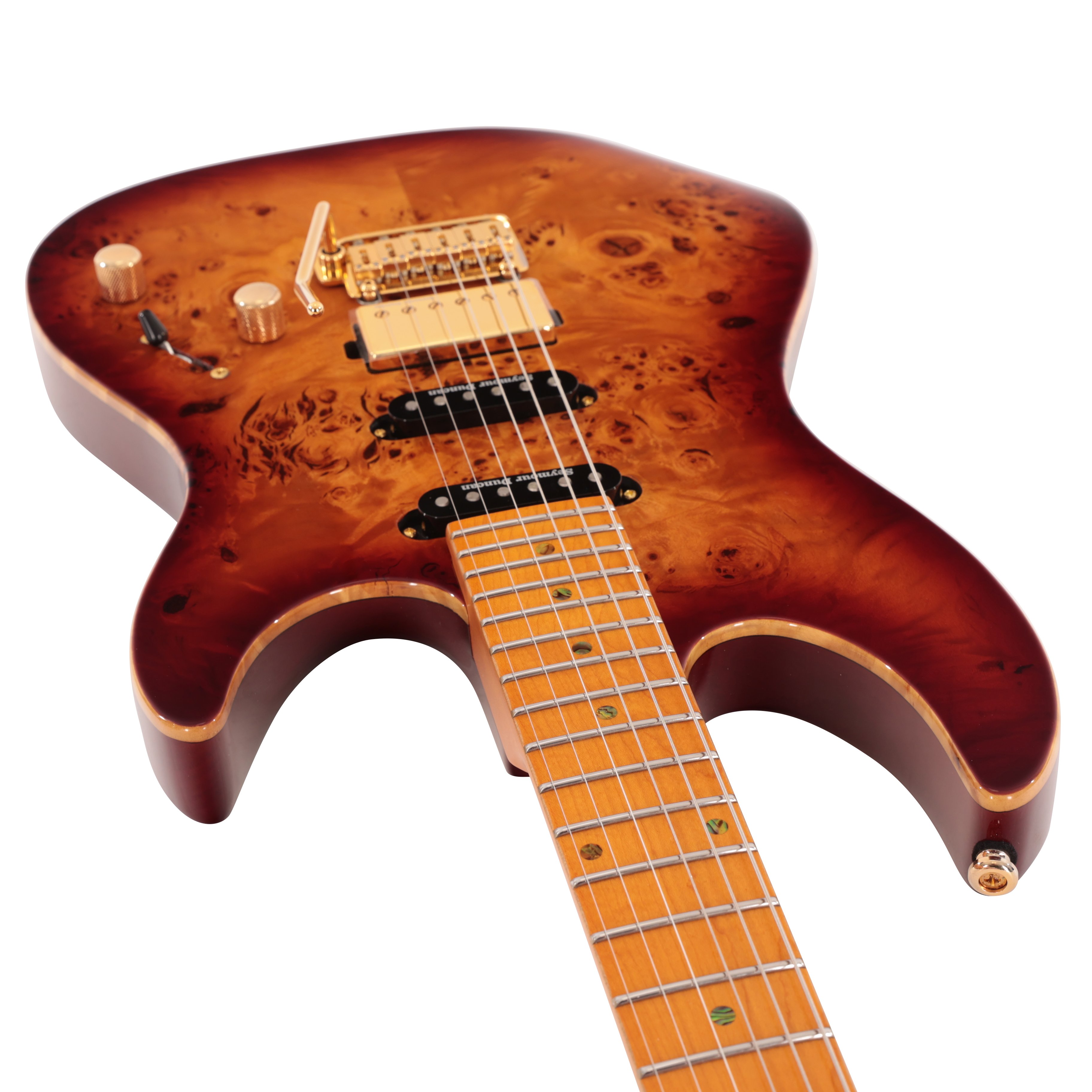 Sire Larry Carlton S10 HSS Electric Guitar in Natural Burst - S10NB (8).jpg