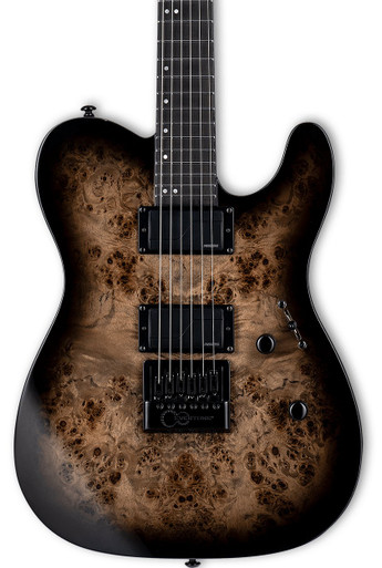ESP TE Series Guitars - Andertons Music Co.