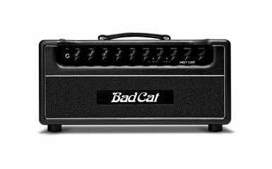 純正激安Bad Cat バッドキャット Tone Cat 40W ヘッド