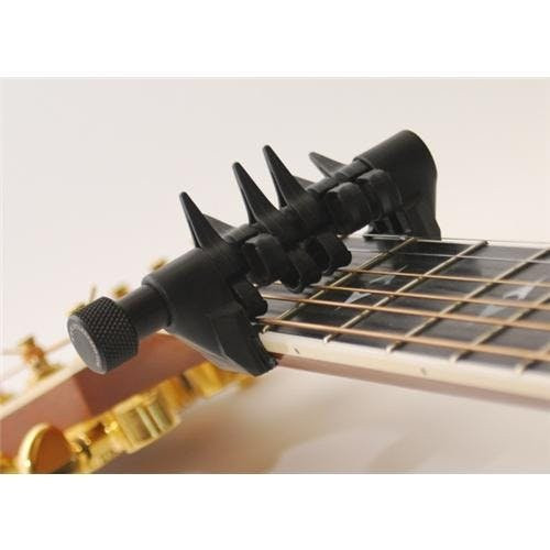 Spider Capo