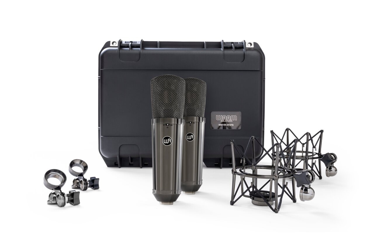 Warm Audio WA-87 R2 Titanium Stereo Pair Condenser Microphones Limited Edition Warm Audio WA-87 R2 Titanium Stereo Pair Condenser Microphones Limited Edition