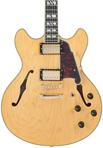 D'Angelico Deluxe DC Satin Honey main image 0
