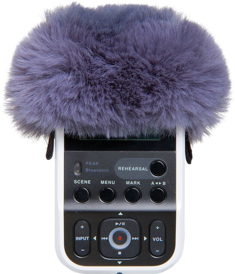 Roland R07-WS Windscreen for R-07 Portable Recorder Roland R07-WS Windscreen for R-07 Portable Recorder