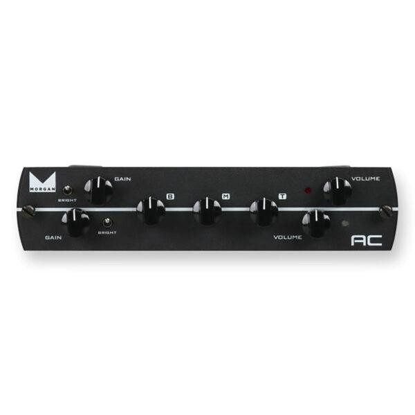 Synergy AC Dual Channel Preamp Module Synergy AC Dual Channel Preamp Module
