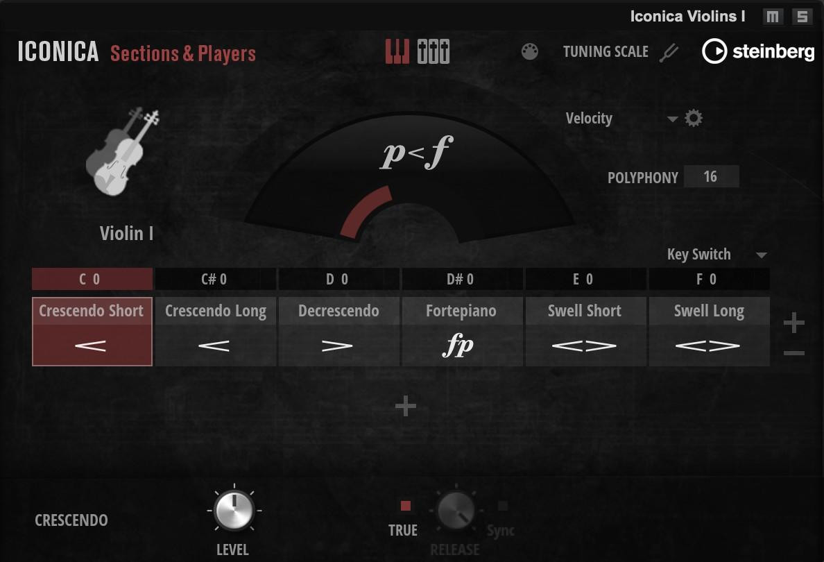 Steinberg Iconica Sections & Players