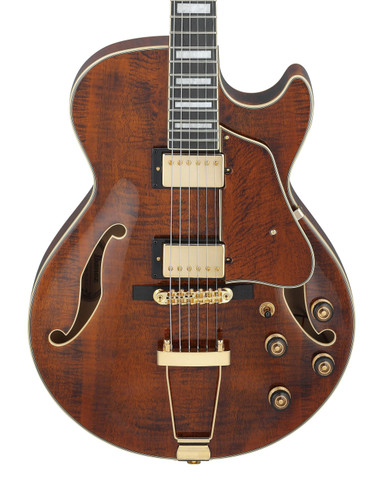 Ibanez AG95MG-DA Artcore Expressionist Hollow Body Electric Guitar