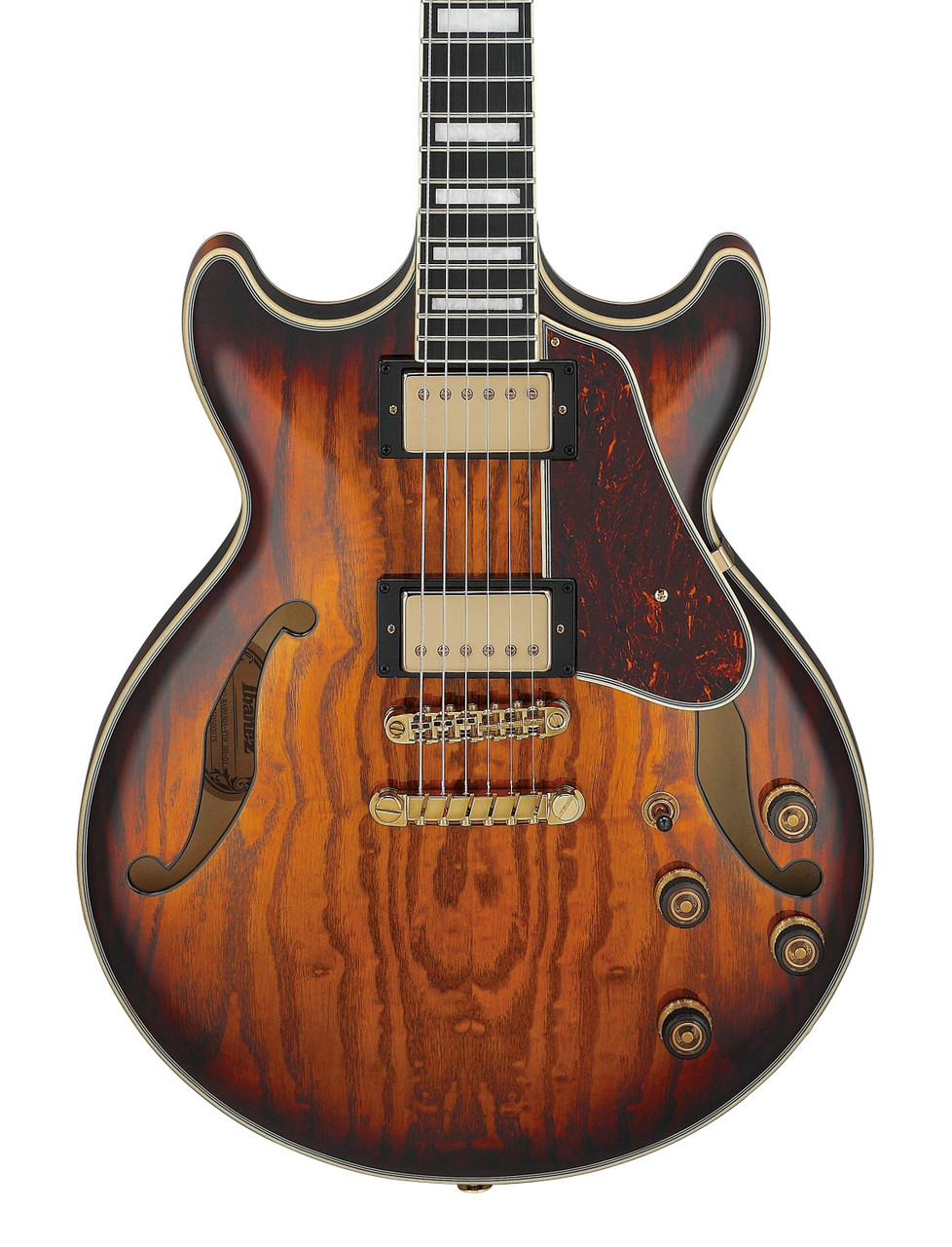 Ibanez AG95MG-DA Artcore Expressionist Hollow Body Electric Guitar
