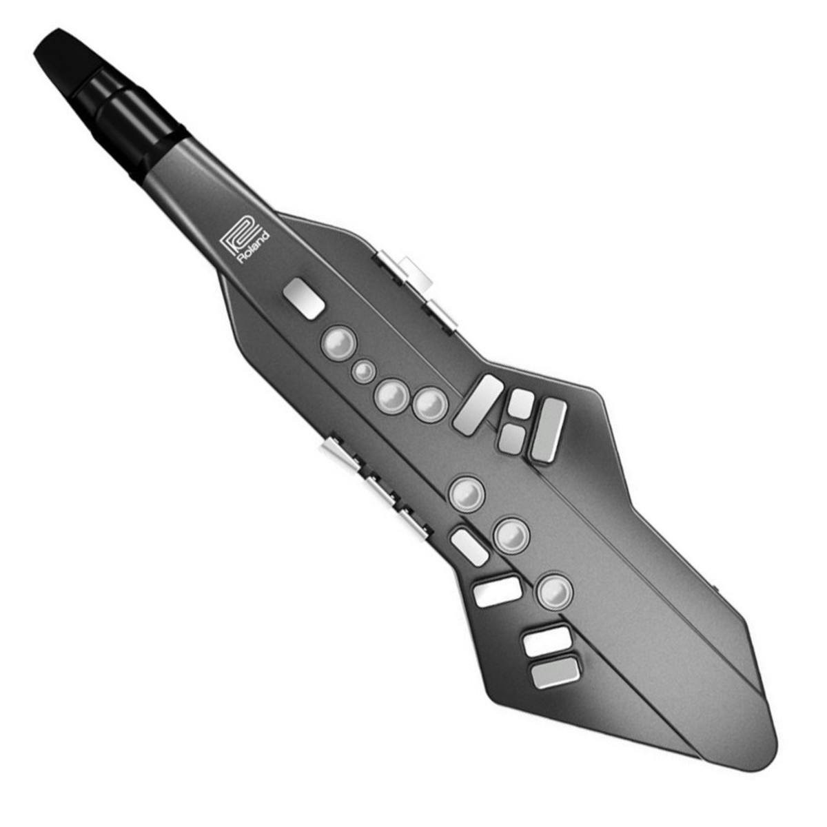 Roland Aerophone GO Digital Wind Instrument Synthesizer Roland Aerophone GO Digital Wind Instrument Synthesizer