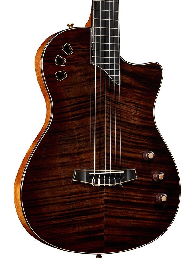 Cordoba Fusion Stage Artist Nylon Electro Acoustic in Habano Burst Cordoba Fusion Stage Artist Nylon Electro Acoustic in Habano Burst