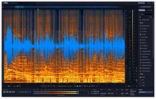 IZotope RX 12 Standard