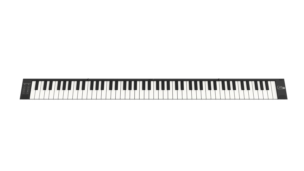 B Stock : Carry-on FP88 Key Folding Piano - Black - 002 B Stock : Carry-on FP88 Key Folding Piano - Black - 002