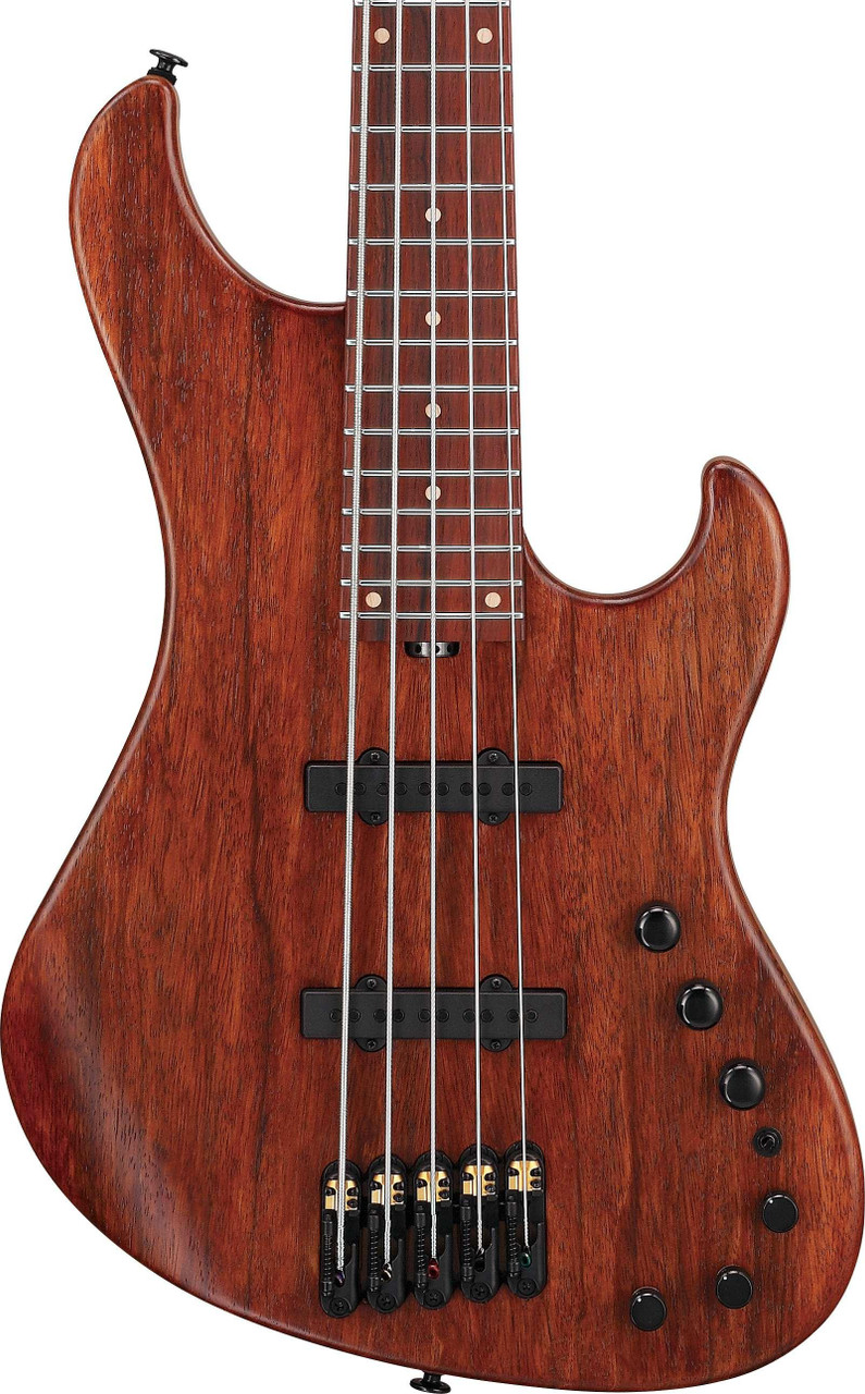Ibanez Visions IV2MDM Mode Series 5-String Bass Guitar in Natural
