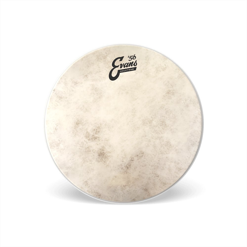 Evans Calftone 56 Series 13" Batter Head Evans Calftone 56 Series 13" Batter Head