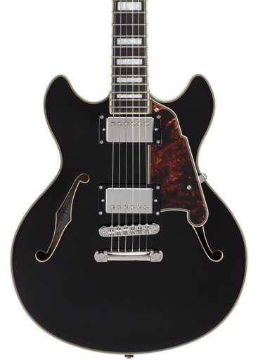 DAPMDCBLF2NS-Dangelico-Premier