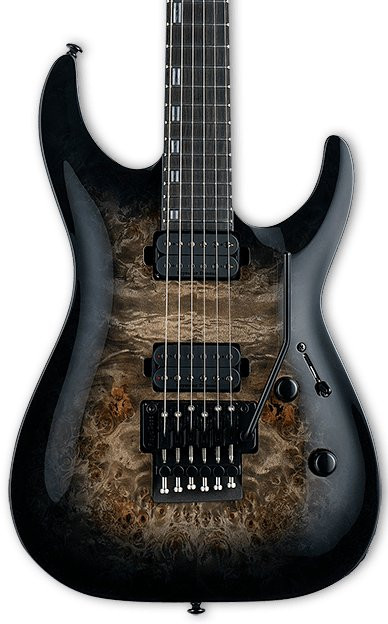 ESP LTD H-1001 FR in Black Natural Burst