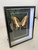 Framed Real Butterfly -722-1