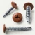 Different angles of the 25mm x 4.2mm Coloured Wafer Head Self-Drilling Screws - RAL Powder-Coated BZP Steel