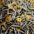 RAL 1020 Olive Yellow - 19mm x 4.2mm Painted Wafer Head Self Tapping Screws - BZP Steel