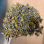 A selection of RAL 1020 Olive Yellow 19mm x 4.2mm Painted Wafer Head Self Tapping Screws
