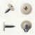 Various angles of the RAL 1013 Oyster White - 13mm x 4.2mm Painted Wafer Head Self Tapping Screws - BZP Steel