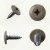 Various angles of the RAL 1019 Grey Beige - 13mm x 4.2mm Painted Wafer Head Self Tapping Screws - BZP Steel