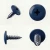 Various angles of the RAL 5003 Sapphire Blue - 13mm x 4.2mm Painted Wafer Head Self Tapping Screws - BZP Steel