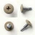 Various angles of the 13mm x 4.2mm Painted Wafer Head Self Drilling Screws - BZP Steel with grey beige powder coated coloured screw head