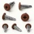 Different angles of the 16mm x 4.2mm Painted Wafer Head Self Drilling Screws - BZP Steel with a RAL 3009 Oxide Red powder coated coloured screw head.