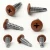 Different angles of the 16mm x 4.2mm Painted Wafer Head Self Drilling Screws - BZP Steel with a RAL 8004 Copper Brown powder coated coloured screw head.