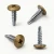 Various angles of the powder coated 19mm wafer head self drilling screw with RAL 1036 pearl gold coloured screw head