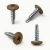 Various angles of the olive brown coloured 19mm wafer head drill point powder coated screw