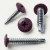 Various angles of the violet dark purple wafer headed drill point screws for metal work and framing