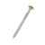DeckingPro DS50 composite decking screw RAL 1015 Light Ivory 50mm A2 stainless steel powder coated head