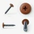 Different angles of the RAL 8004 Copper Brown - 25mm x 4.2mm Painted Flange Head Self Tapping Screws - BZP Steel