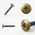 Different angles of the RAL 1036 Pearl Gold - 32mm x 4.2mm Painted Flange Head Self Tapping Screws - BZP Steel