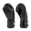 Fairtex BGV1C-PLUS: The Ultimate Microfiber Boxing Gloves for Performance