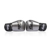 Fairtex BGV1C-PLUS: The Ultimate Microfiber Boxing Gloves for Performance