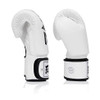 Fairtex BGV1 ONE Muay Thai Boxing Sparring Gloves