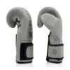 Fairtex BGV14 Grey Muay Thai Boxing Gloves