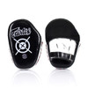 Fairtex FMV11 Aero Focus Punching Mitts
