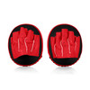 Fairtex FMV15 Curved Muay Thai Boxing Focus Punch Mitts