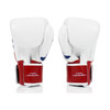 Fairtex Thai Pride BGV1 Muay Thai Boxing Glove