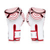 Fairtex BGV14 Japanese Art Muay Thai Boxing Glove