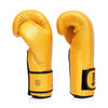 Fairtex BGV18 Gold Muay Thai Boxing Glove